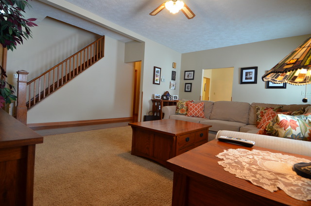 308 West Thomas Street Ransom, IL 60470 - Photo 6 of 15