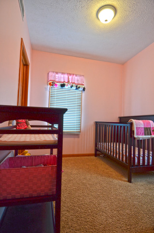 308 West Thomas Street Ransom, IL 60470 - Photo 9 of 15