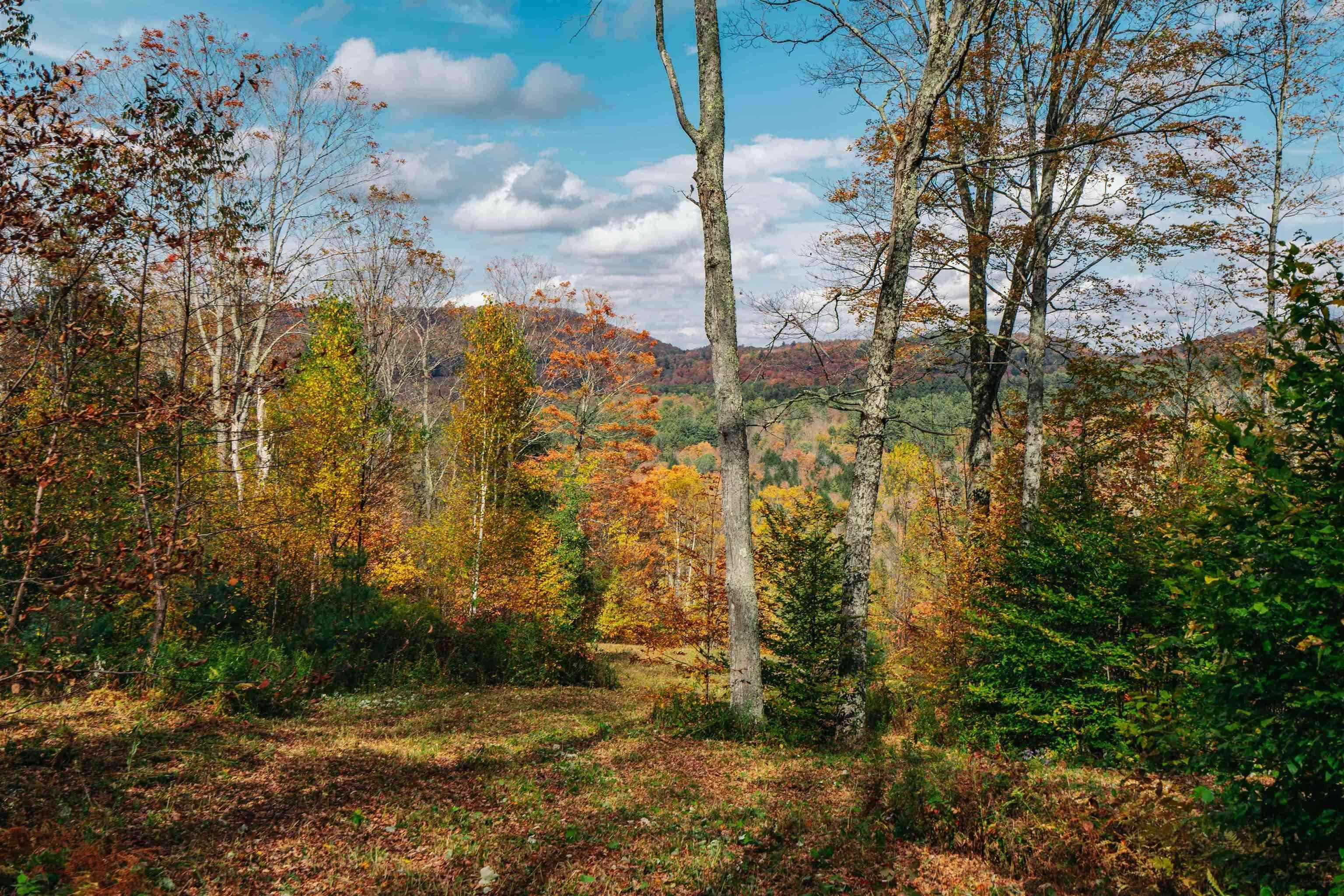 186 Bicknell Hill Road Tunbridge, VT 05077 - Photo 1 of 15