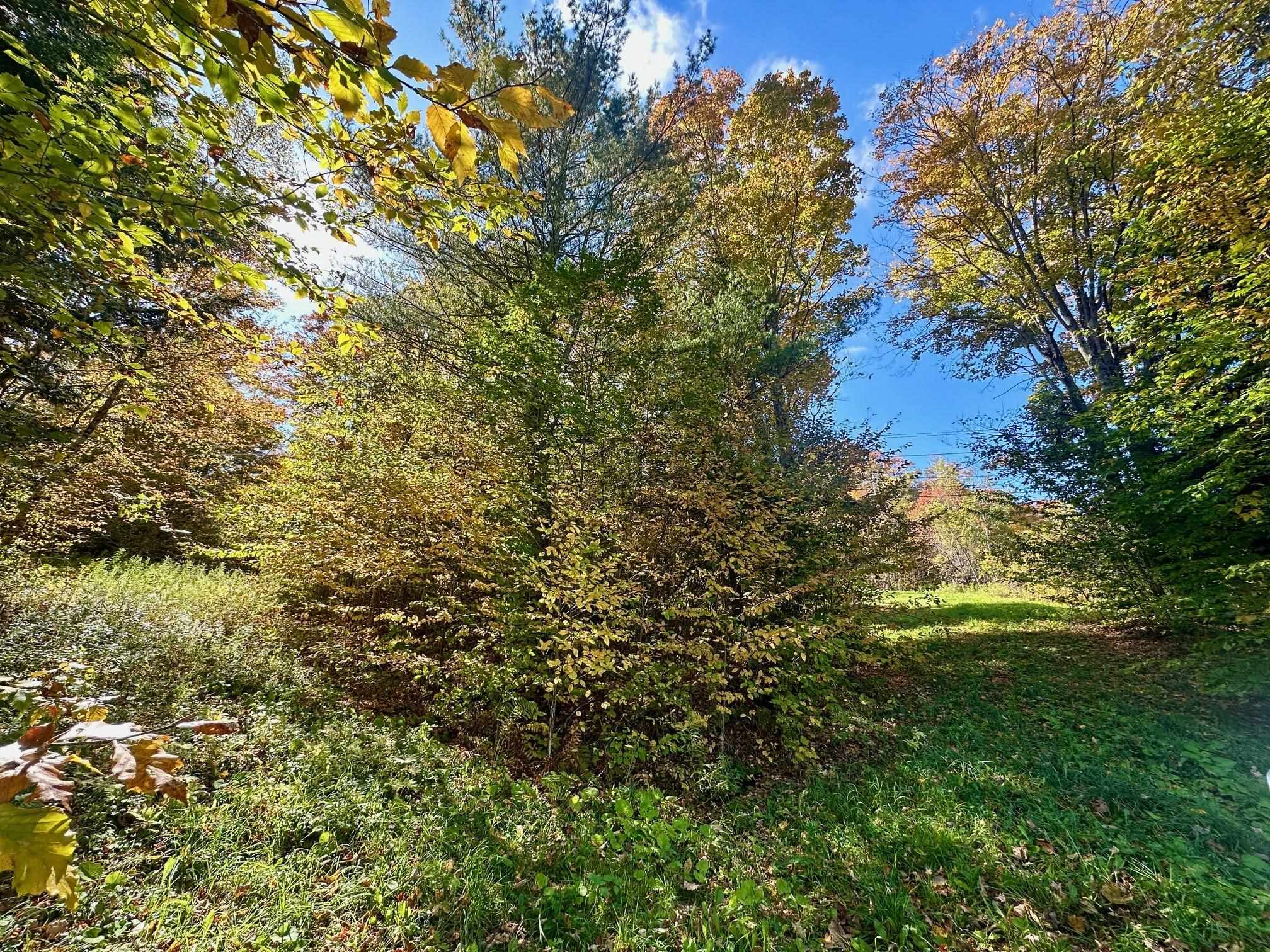 186 Bicknell Hill Road Tunbridge, VT 05077 - Photo 11 of 15