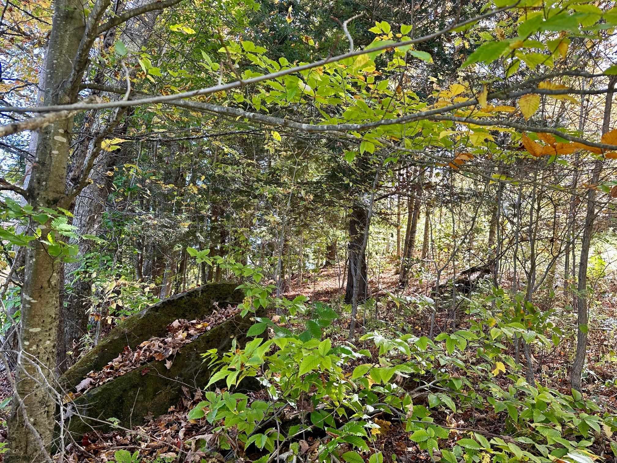 186 Bicknell Hill Road Tunbridge, VT 05077 - Photo 12 of 15