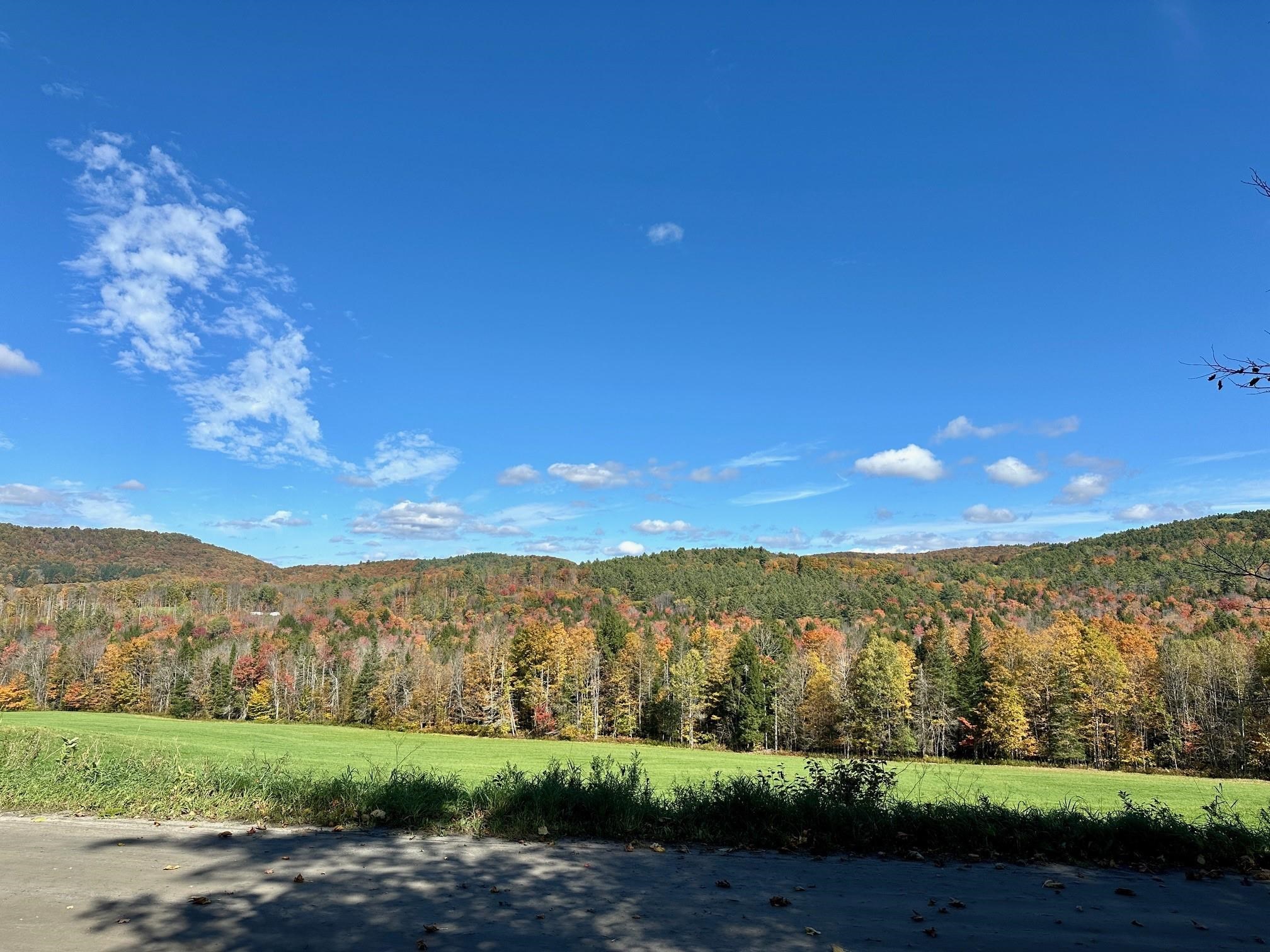 186 Bicknell Hill Road Tunbridge, VT 05077 - Photo 3 of 15