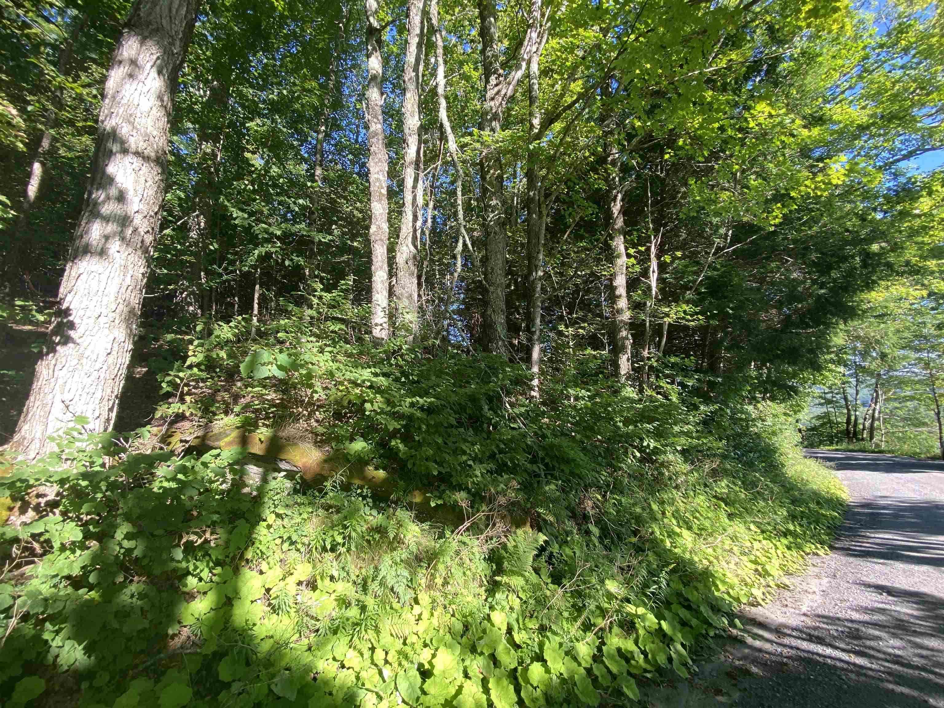 186 Bicknell Hill Road Tunbridge, VT 05077 - Photo 6 of 15
