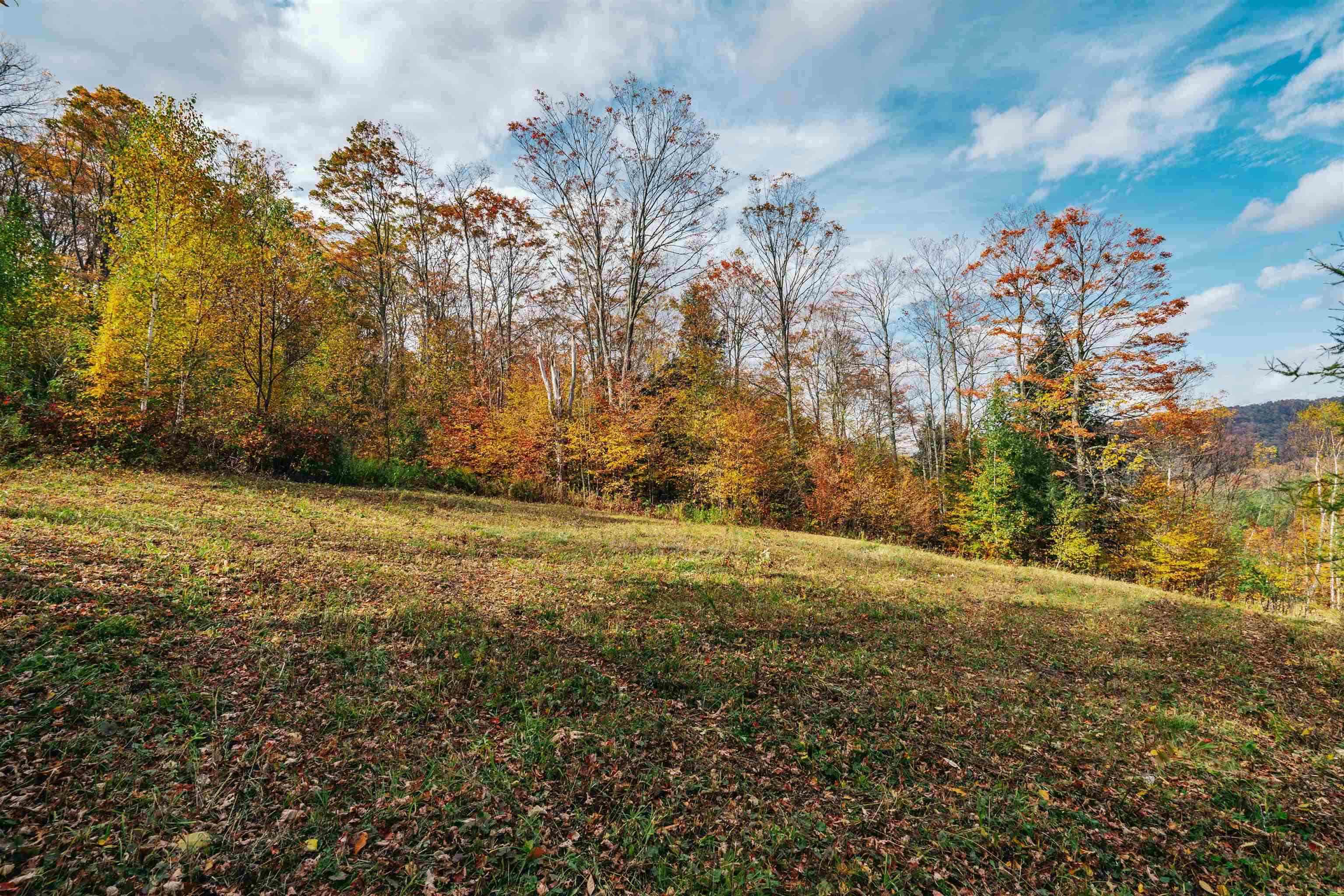 186 Bicknell Hill Road Tunbridge, VT 05077 - Photo 8 of 15