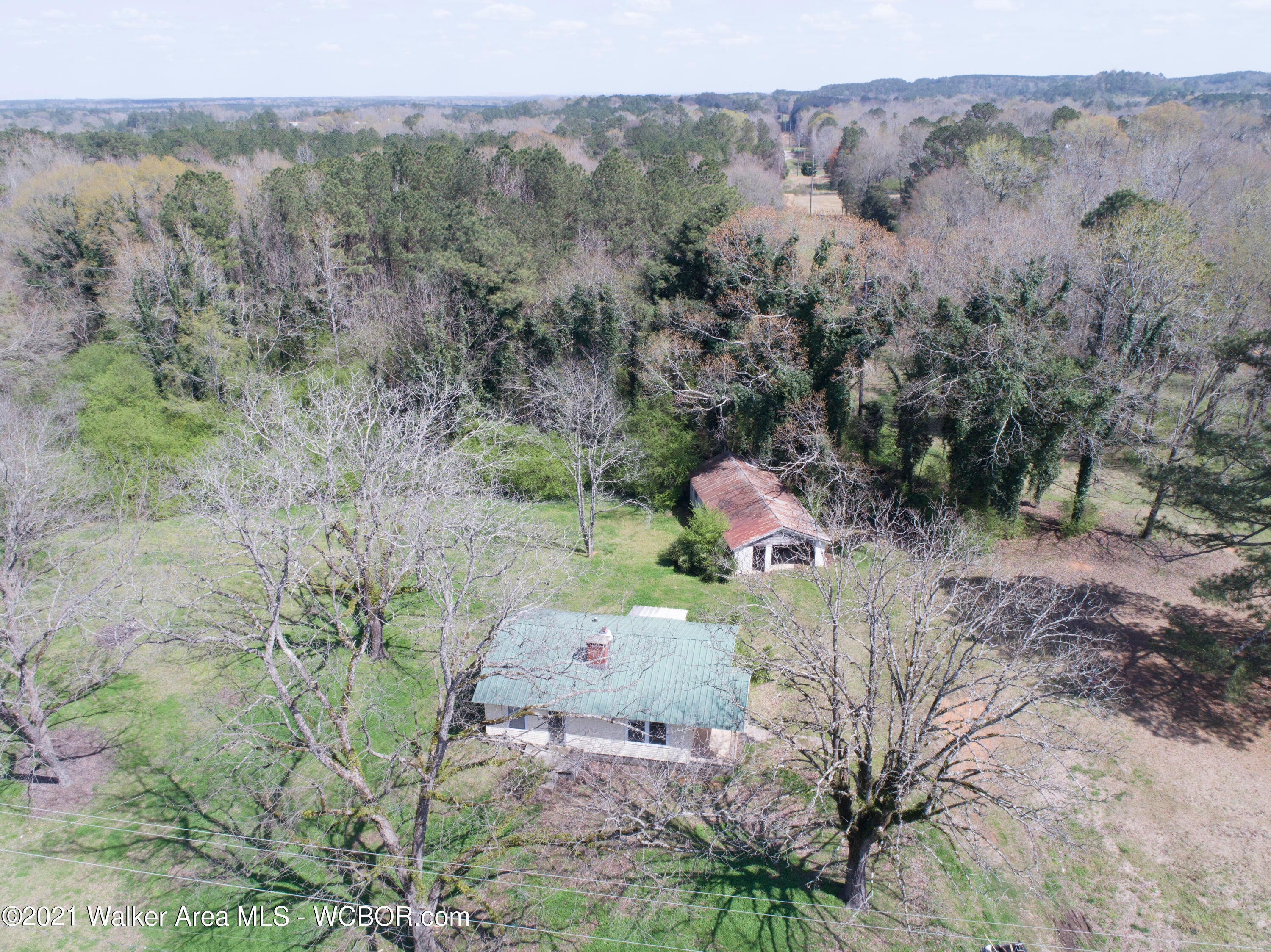179 Buttermilk Road Jasper, AL 35501 - Photo 3 of 28 Gallery Image 3
