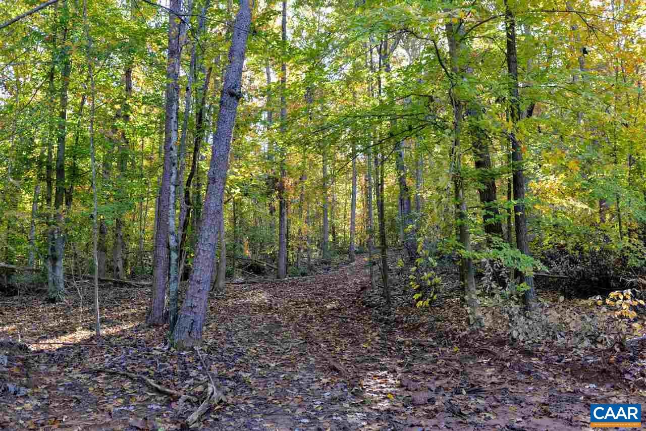 52 Berry Hill Road Faber, VA 22938 - Photo 7 of 20 Gallery Image 7