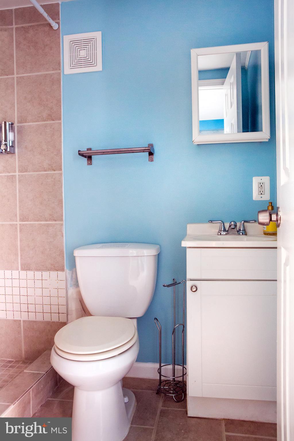 307 E Street Northeast Washington, DC 20002 - Photo 26 of 29 GUEST HOUSE Full Bath