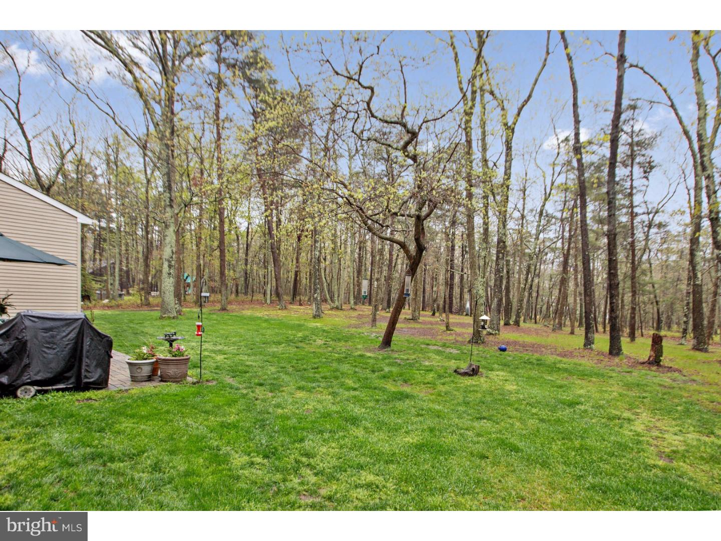 20 Bearhead Road Medford, NJ 08055 - Photo 22 of 24