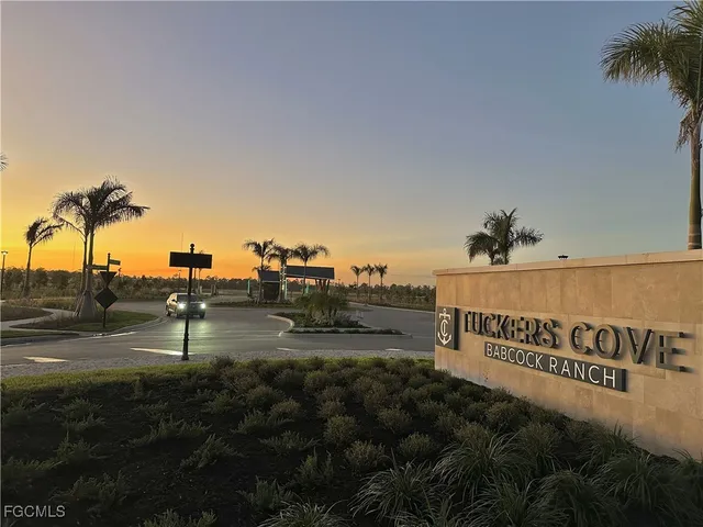 a view of outdoor space with palm trees