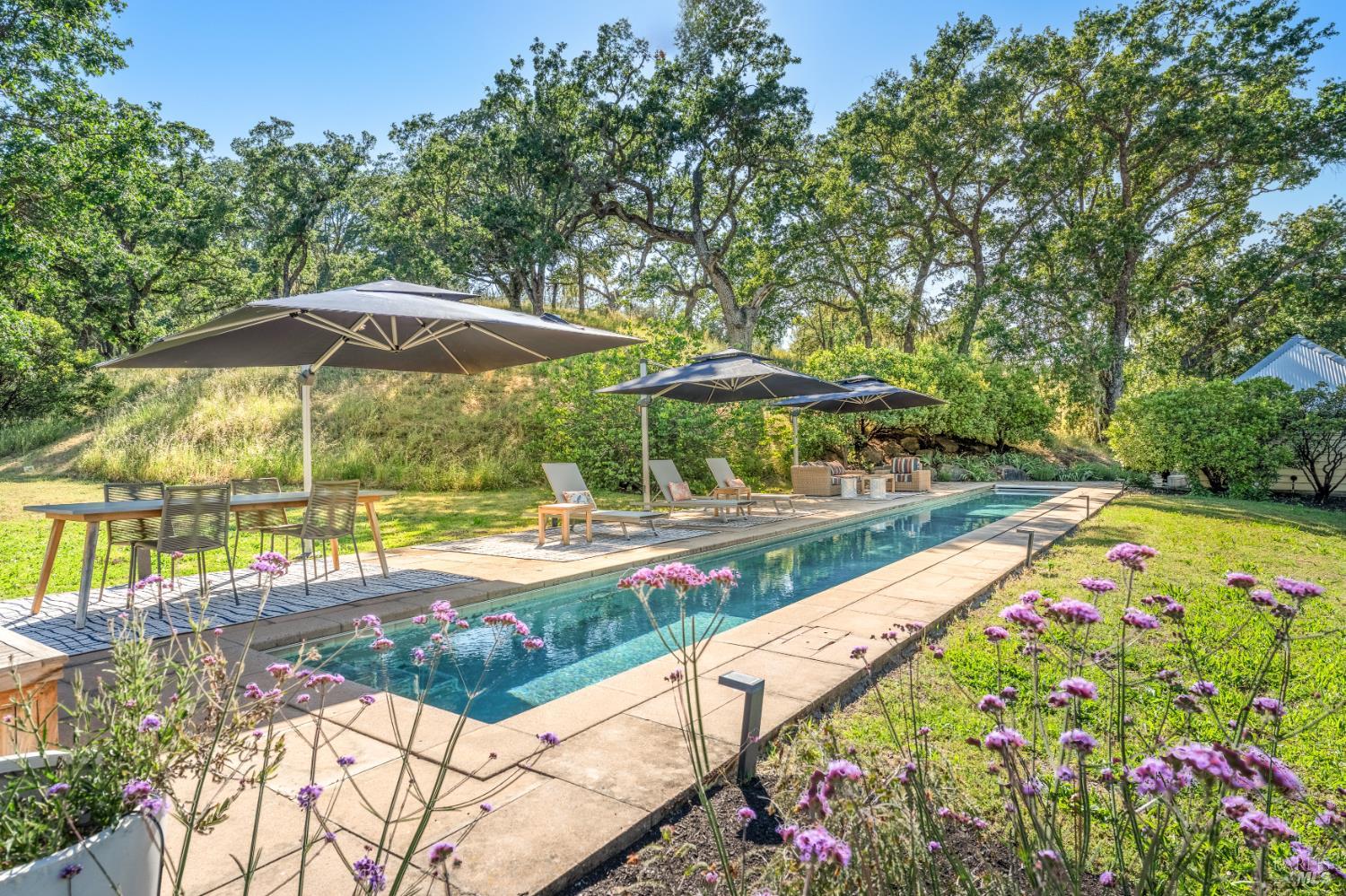 1785 Pope Canyon Road St. Helena, CA 94574 - Photo 12 of 30
