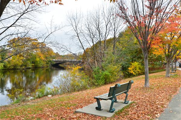 8 R Riverside Street, Unit 13 Watertown, MA 02472 - Photo 12 of 13 Gallery Image 12