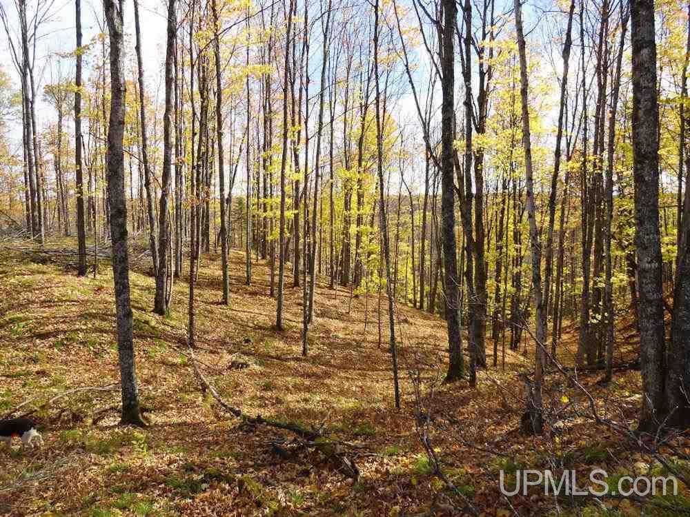 Paint River Parks Farm Road Crystal Falls, MI 49903 - Photo 18 of 25 Gallery Image 18
