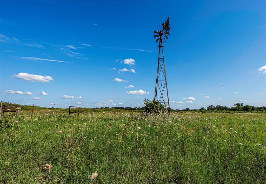 1217 Highway 2731 Rising Star, TX 76471 - Photo 7 of 9
