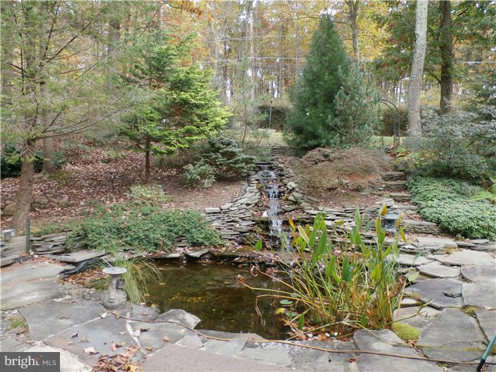 1994 Cocalico Road Birdsboro, PA 19508 - Photo 22 of 25 View in Back