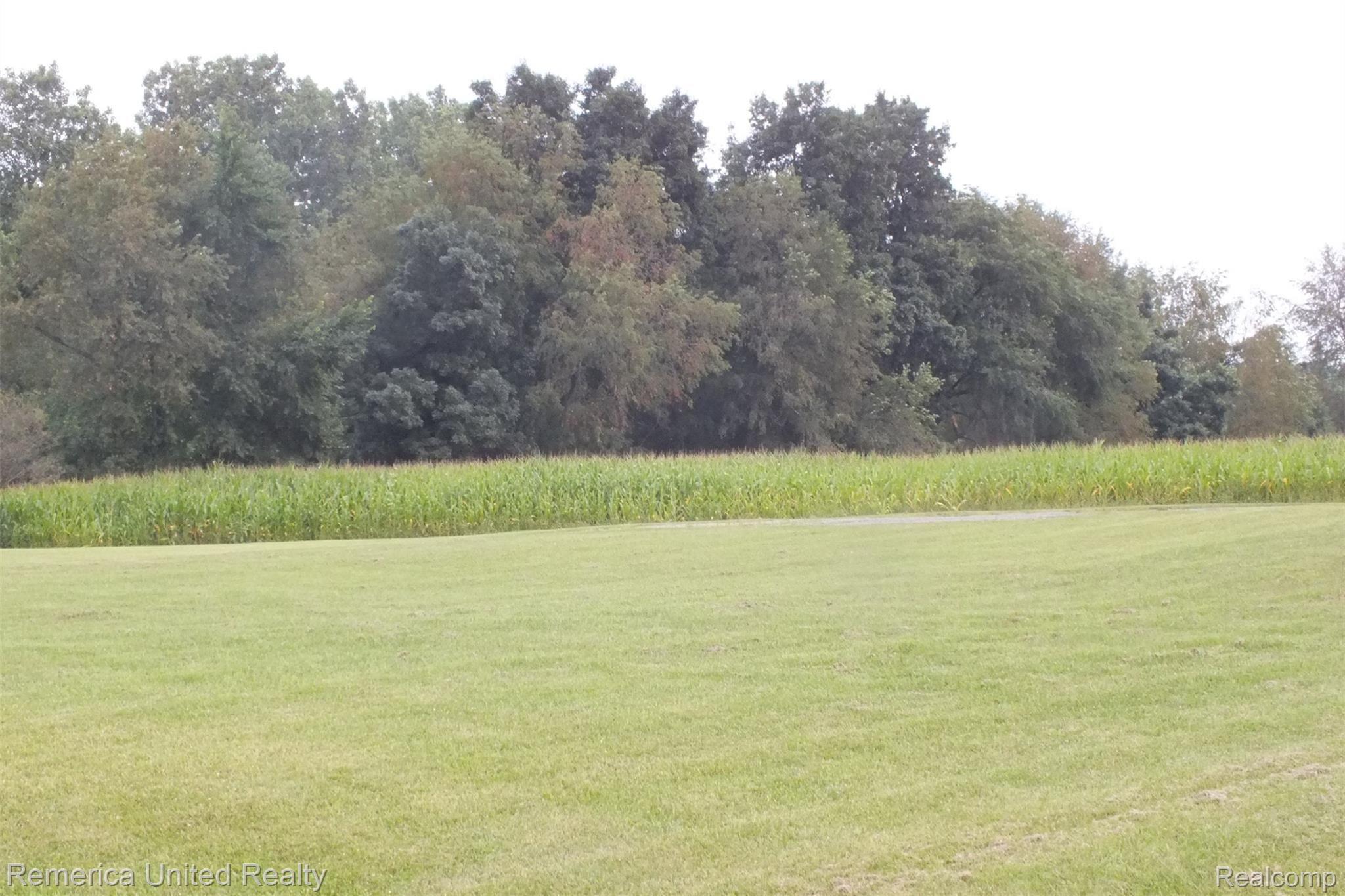 3721 Chase Lake Road Howell, MI 48855 - Photo 9 of 31 DSCF7077.JPG