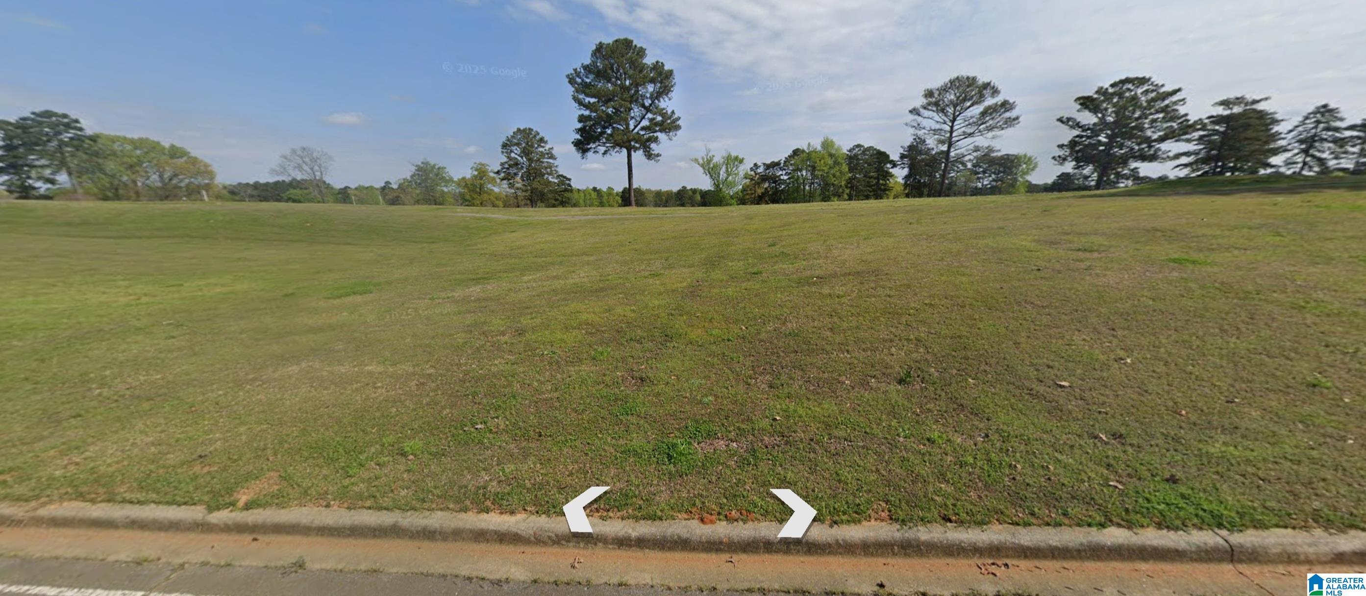 1623 Quail Ridge Drive, Unit LOT 9 QUAIL RIDGE SECTOR Gardendale, AL 35071 - Photo 4 of 4