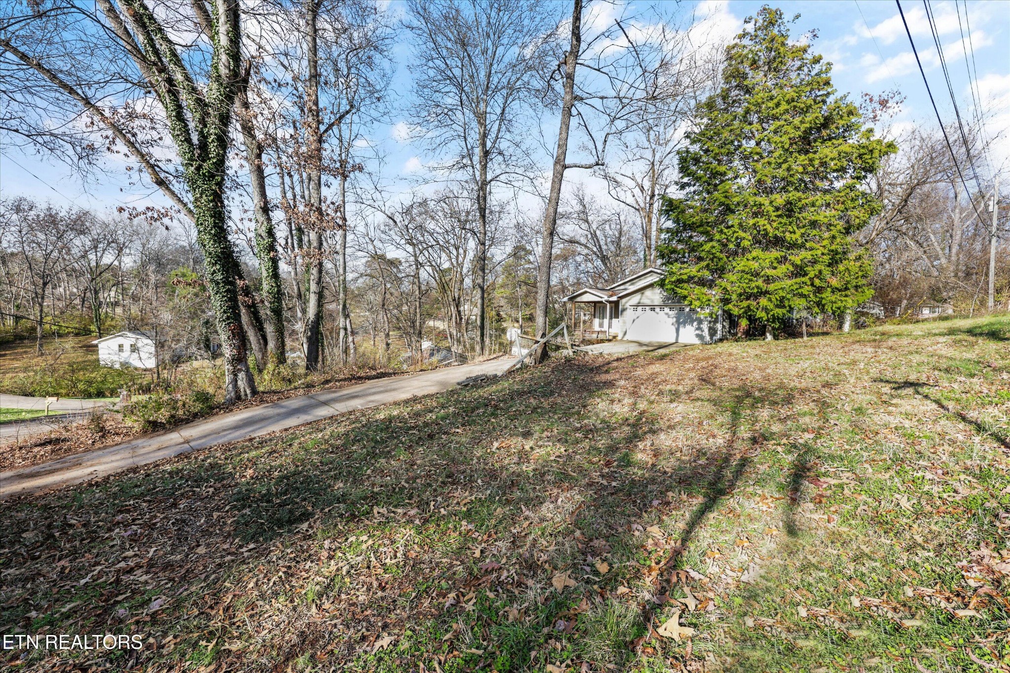 1221 Huntington Road Southwest Knoxville, TN 37919 - Photo 23 of 23 a view of a yard with plants and trees