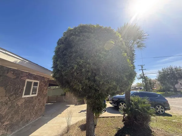 $775,000 | 1939 Paradise Street, San Diego, CA 92114