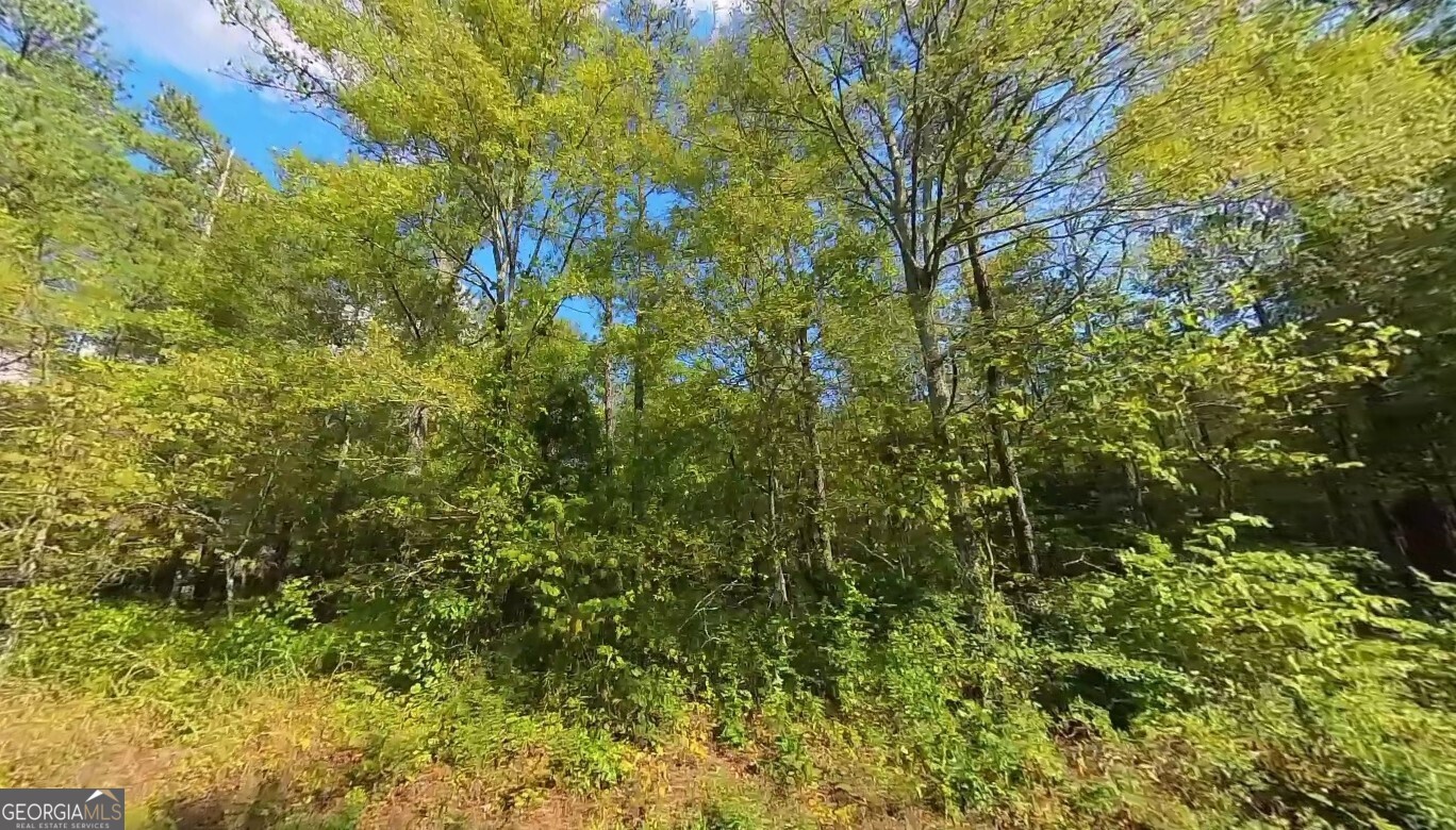 570 Sandtown Road Southeast Cartersville, GA 30121 - Photo 2 of 6