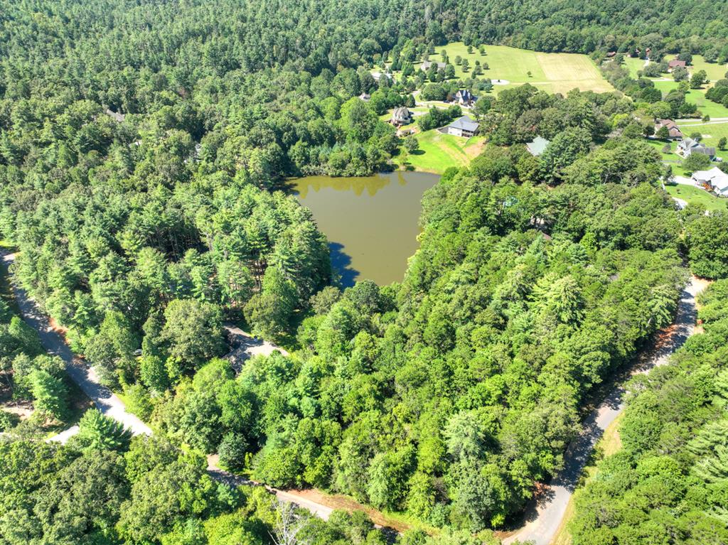 1136 Byers Road Blairsville, GA 30512 - Photo 69 of 73 Gallery Image 69