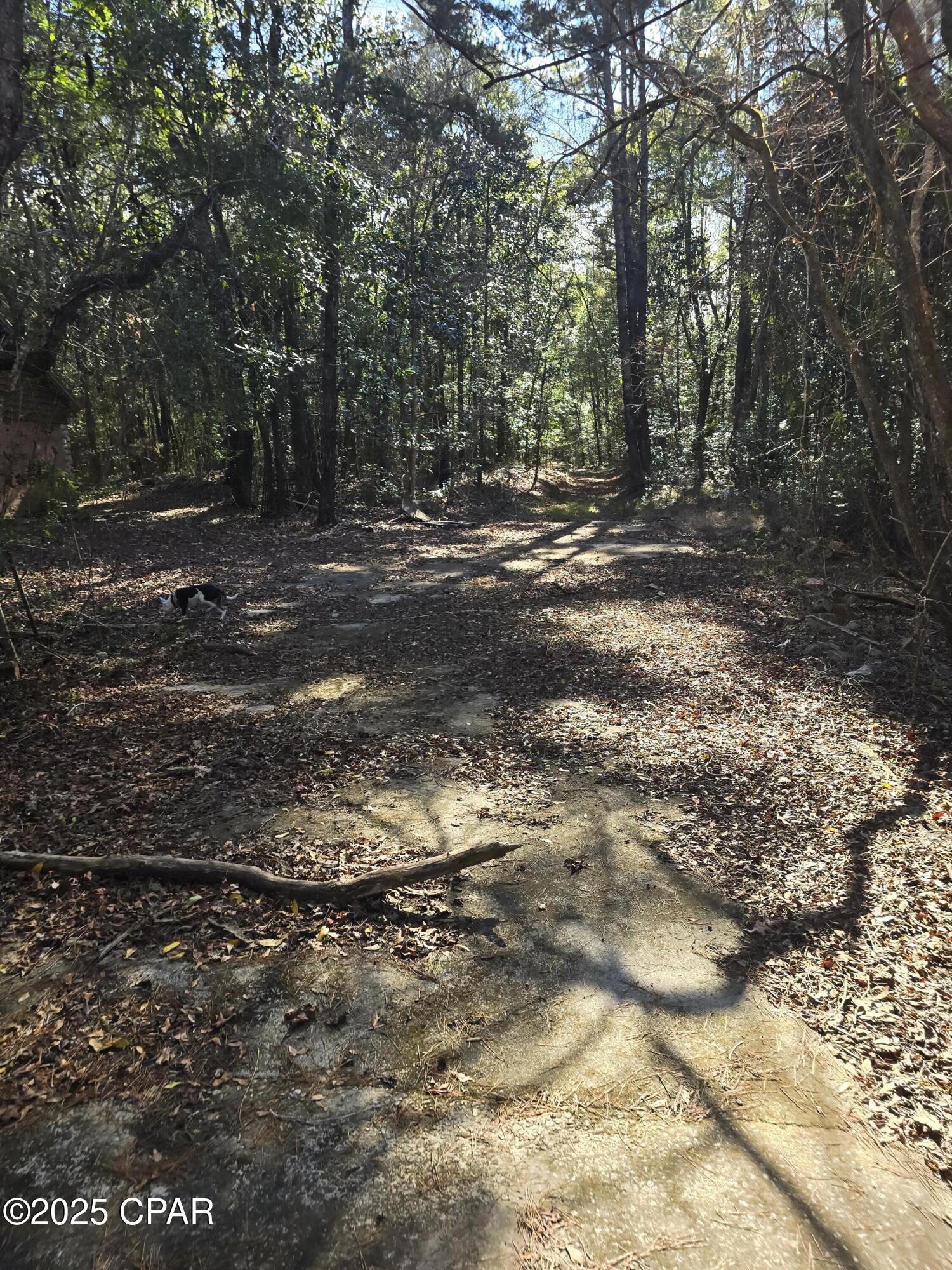 20 Skeeter Road Ponce de Leon, FL 32455 - Photo 22 of 30