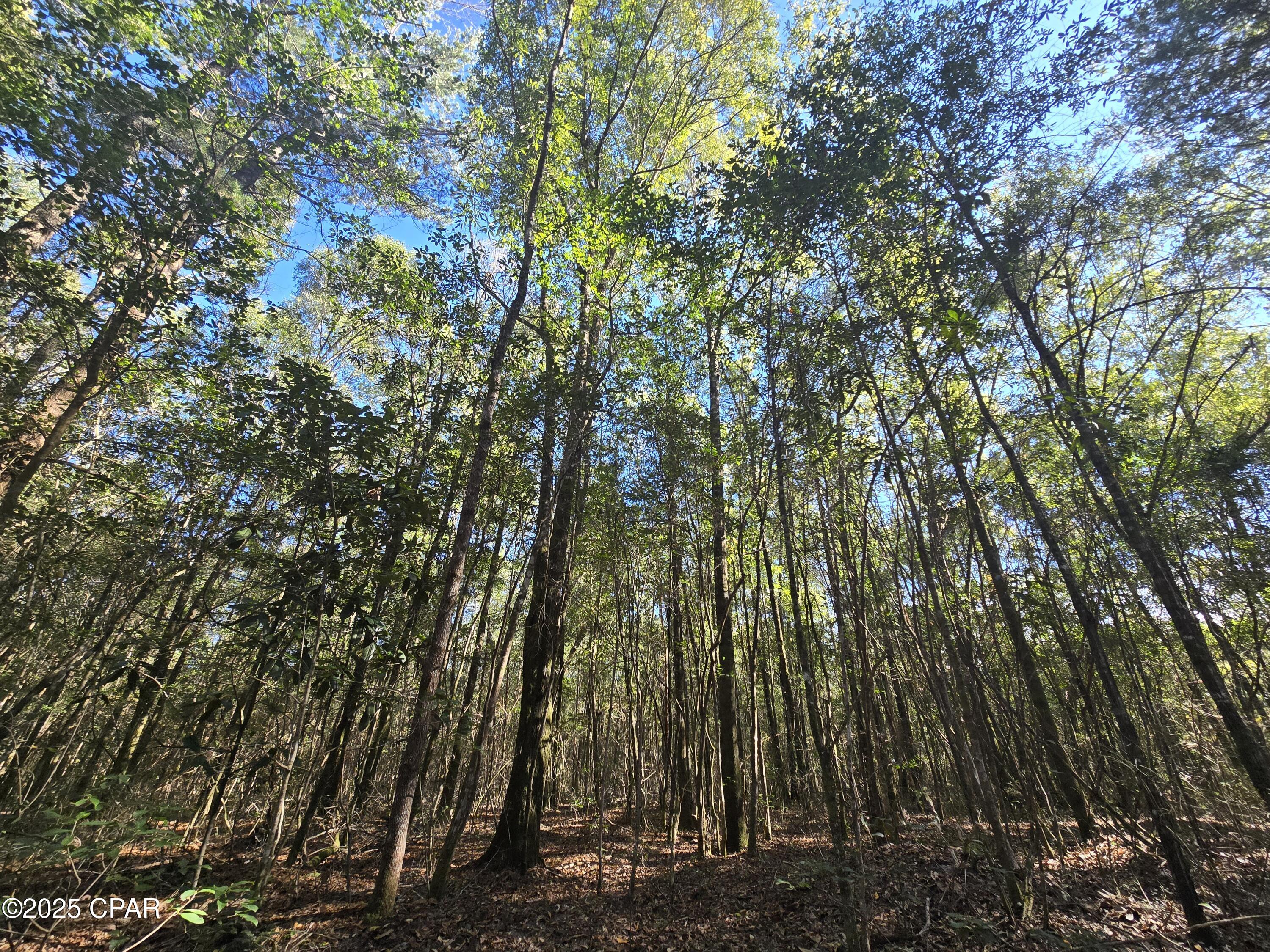 20 Skeeter Road Ponce de Leon, FL 32455 - Photo 28 of 30