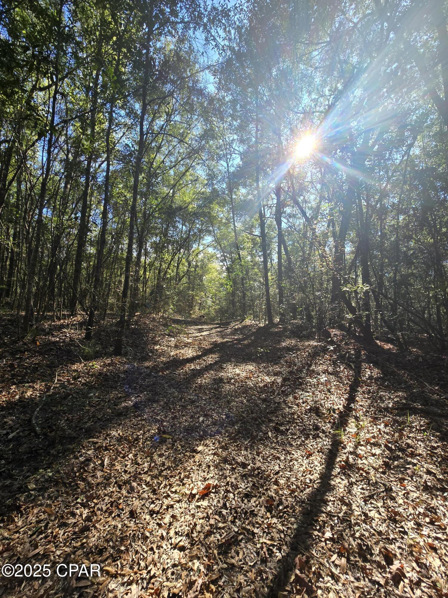 20 Skeeter Road Ponce de Leon, FL 32455 - Photo 29 of 30