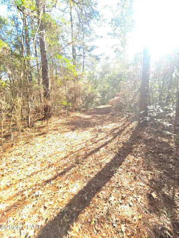 $500,000 | 20 Skeeter Road, Ponce de Leon, FL 32455