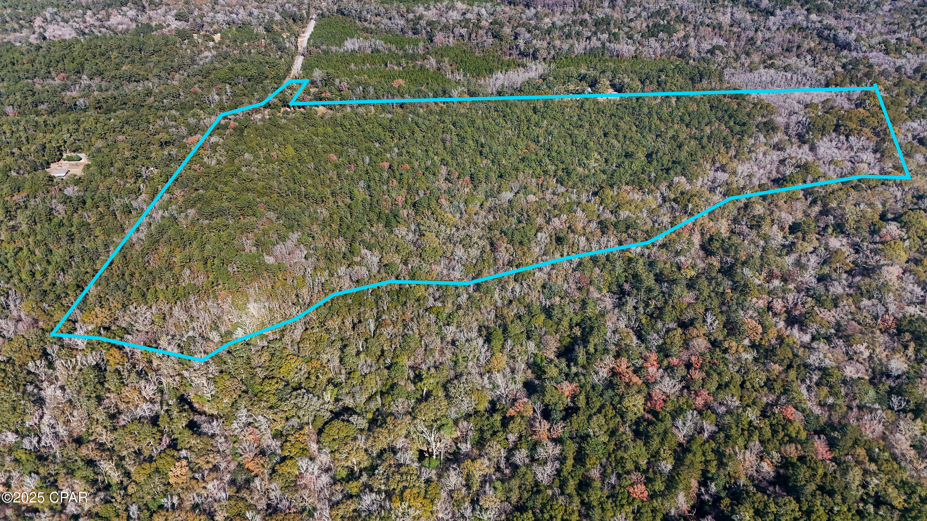 20 Skeeter Road Ponce de Leon, FL 32455 - Photo 3 of 30