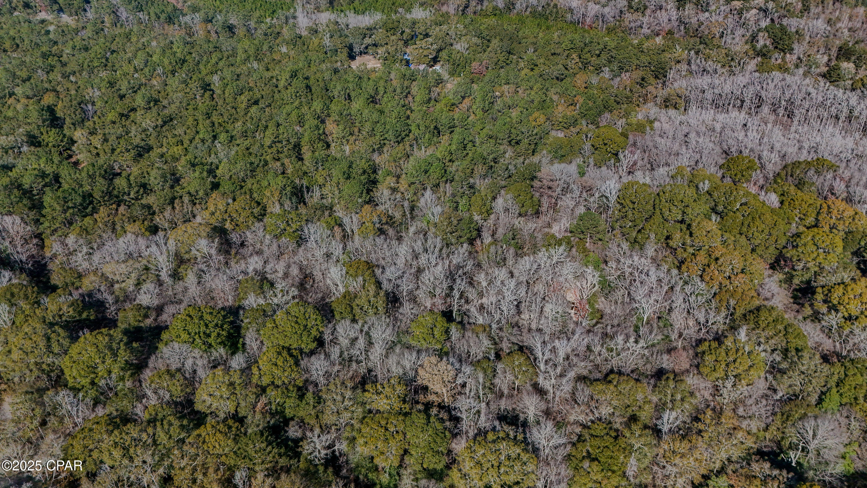 20 Skeeter Road Ponce de Leon, FL 32455 - Photo 4 of 30