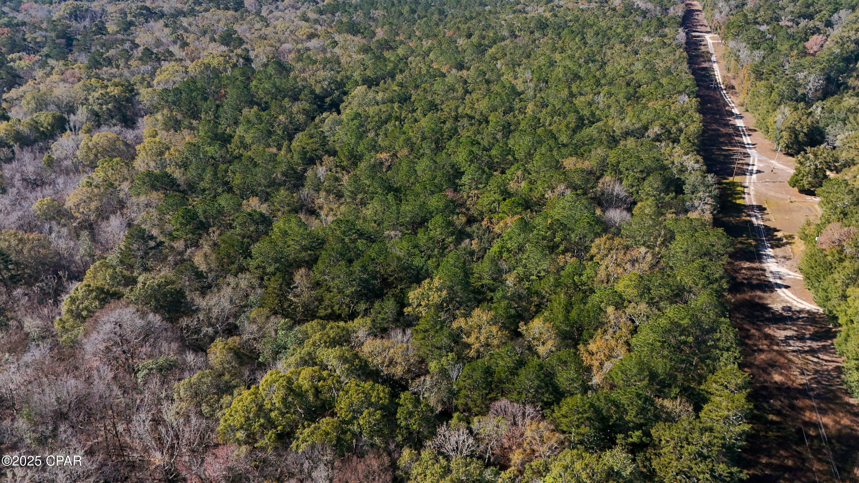 20 Skeeter Road Ponce de Leon, FL 32455 - Photo 6 of 30