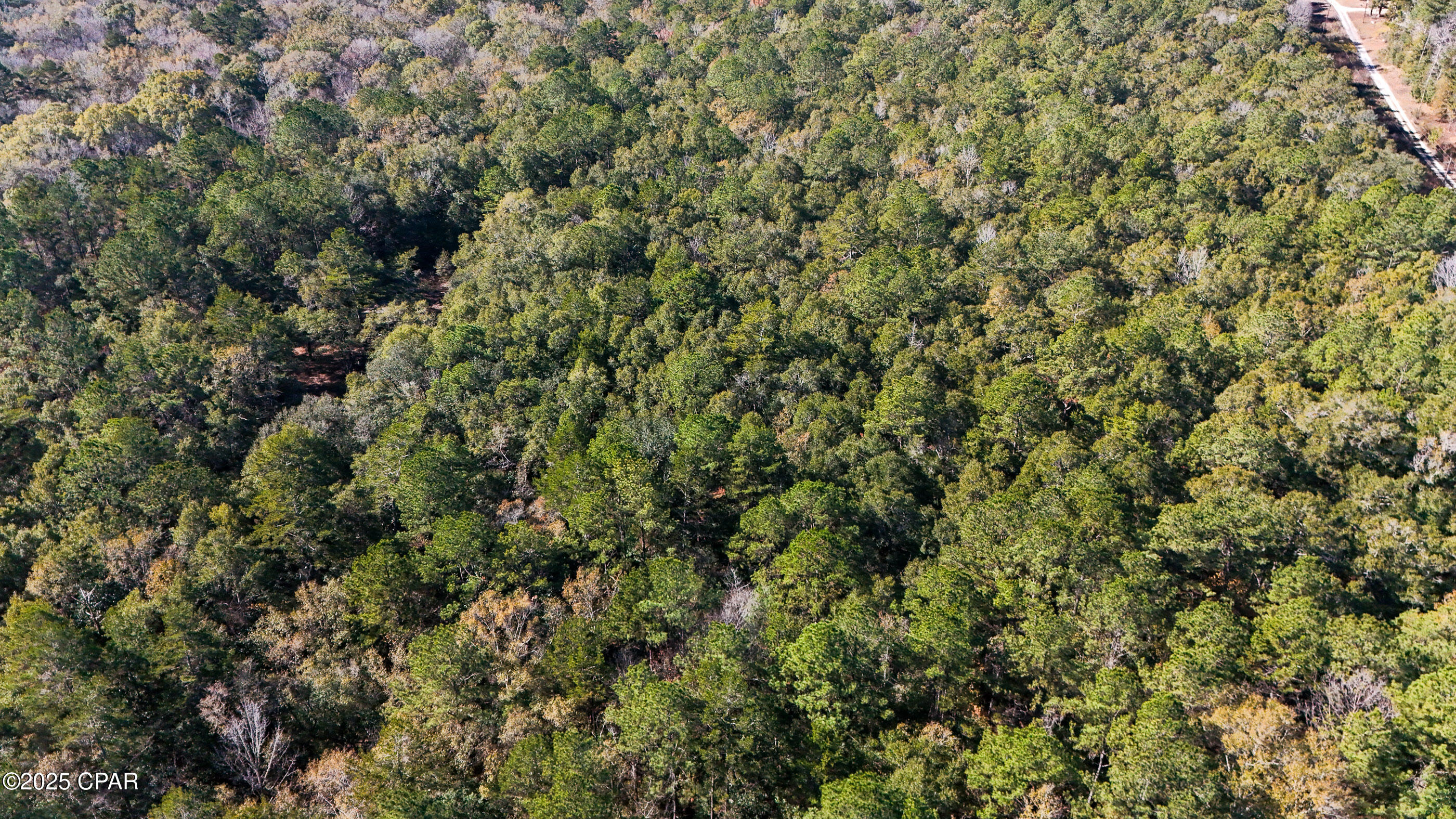 20 Skeeter Road Ponce de Leon, FL 32455 - Photo 7 of 30