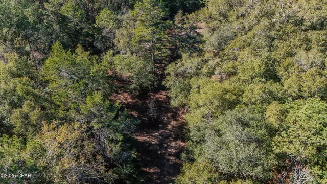 $500,000 | 20 Skeeter Road, Ponce de Leon, FL 32455