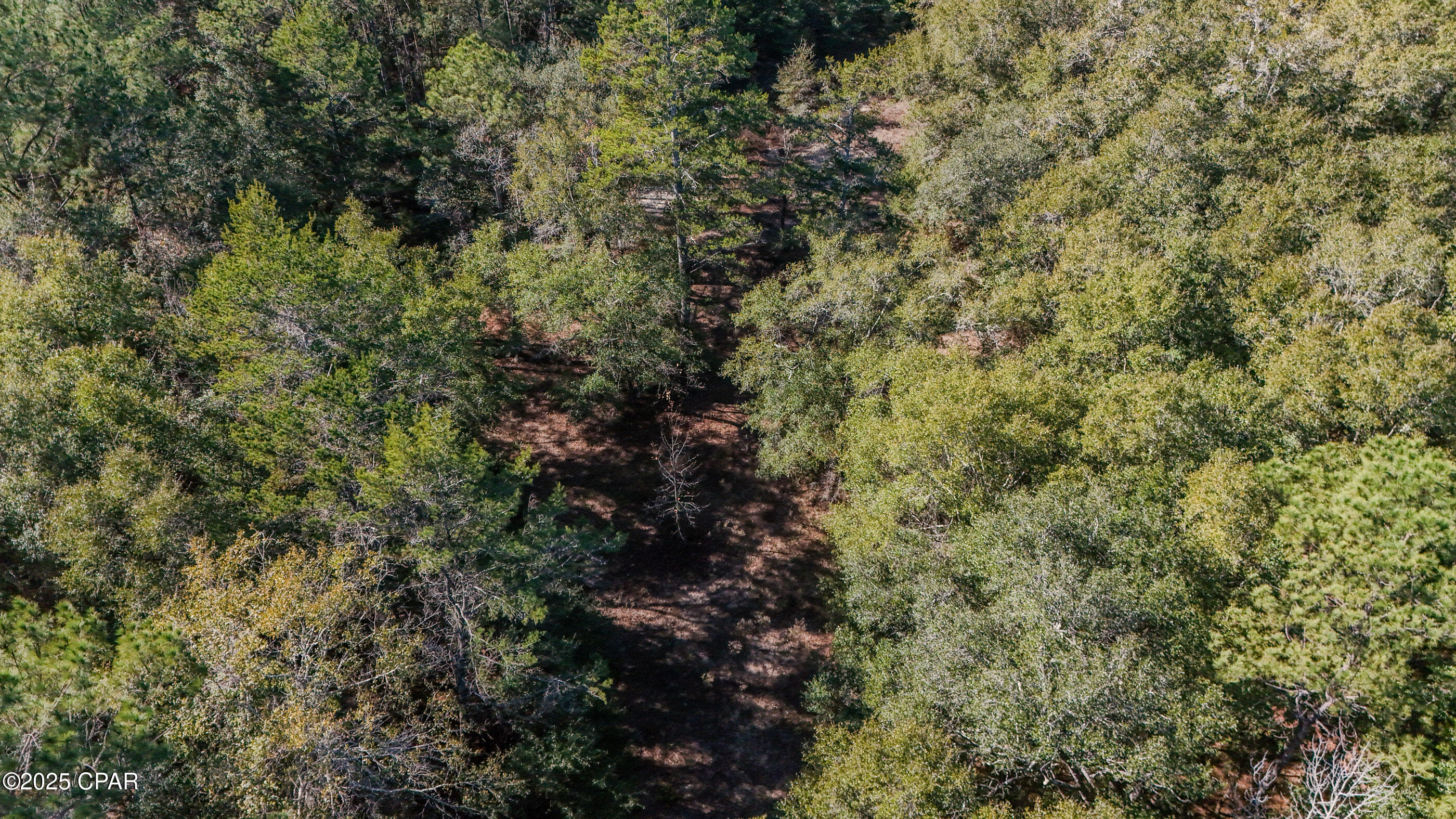 20 Skeeter Road Ponce de Leon, FL 32455 - Photo 8 of 30