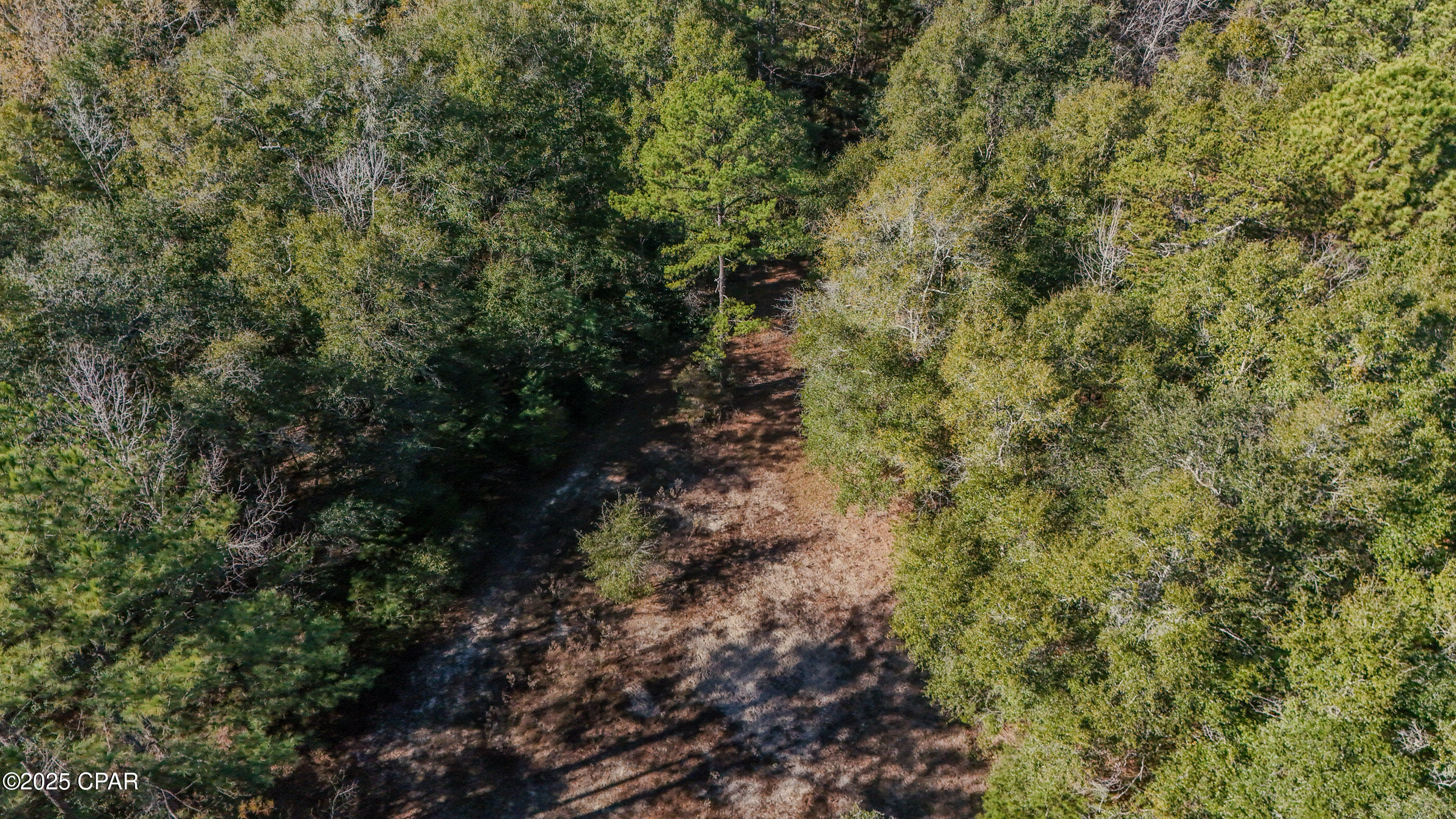 20 Skeeter Road Ponce de Leon, FL 32455 - Photo 9 of 30