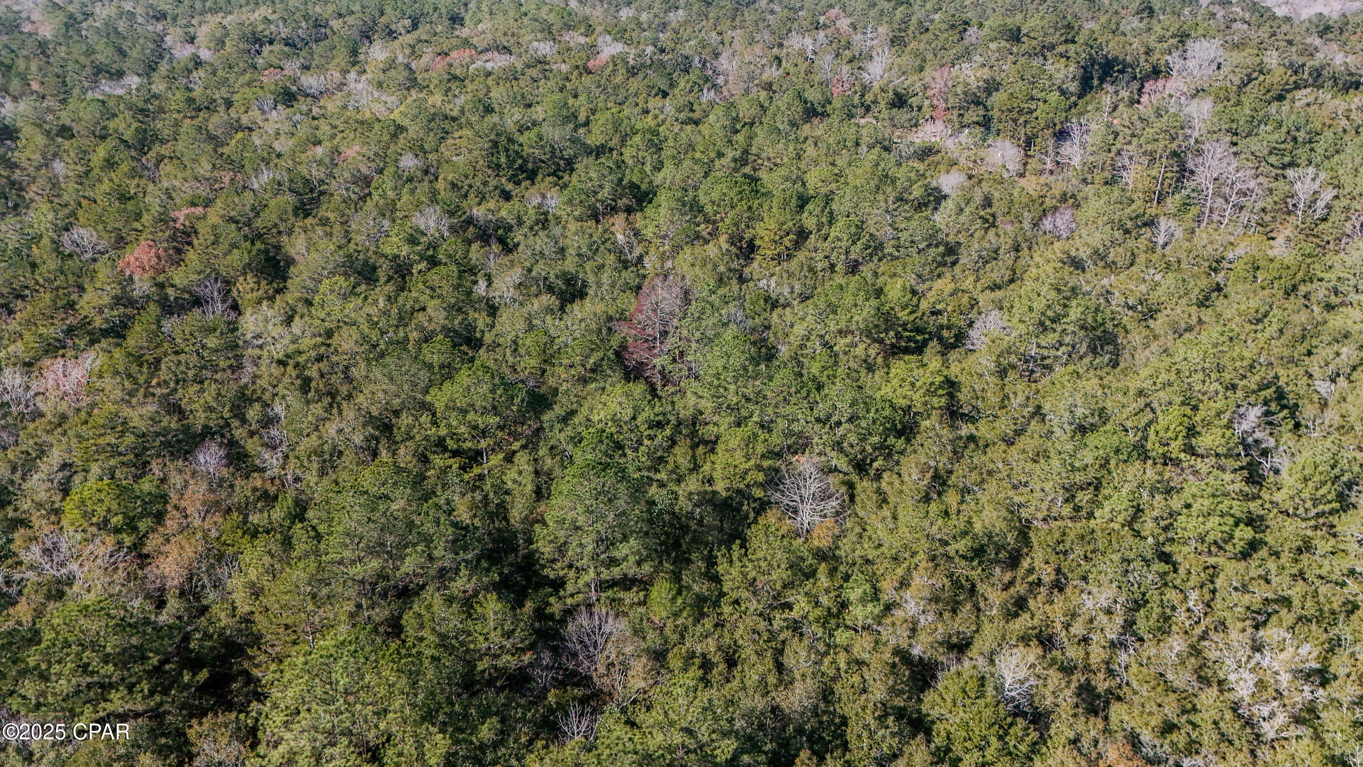 20 Skeeter Road Ponce de Leon, FL 32455 - Photo 10 of 30