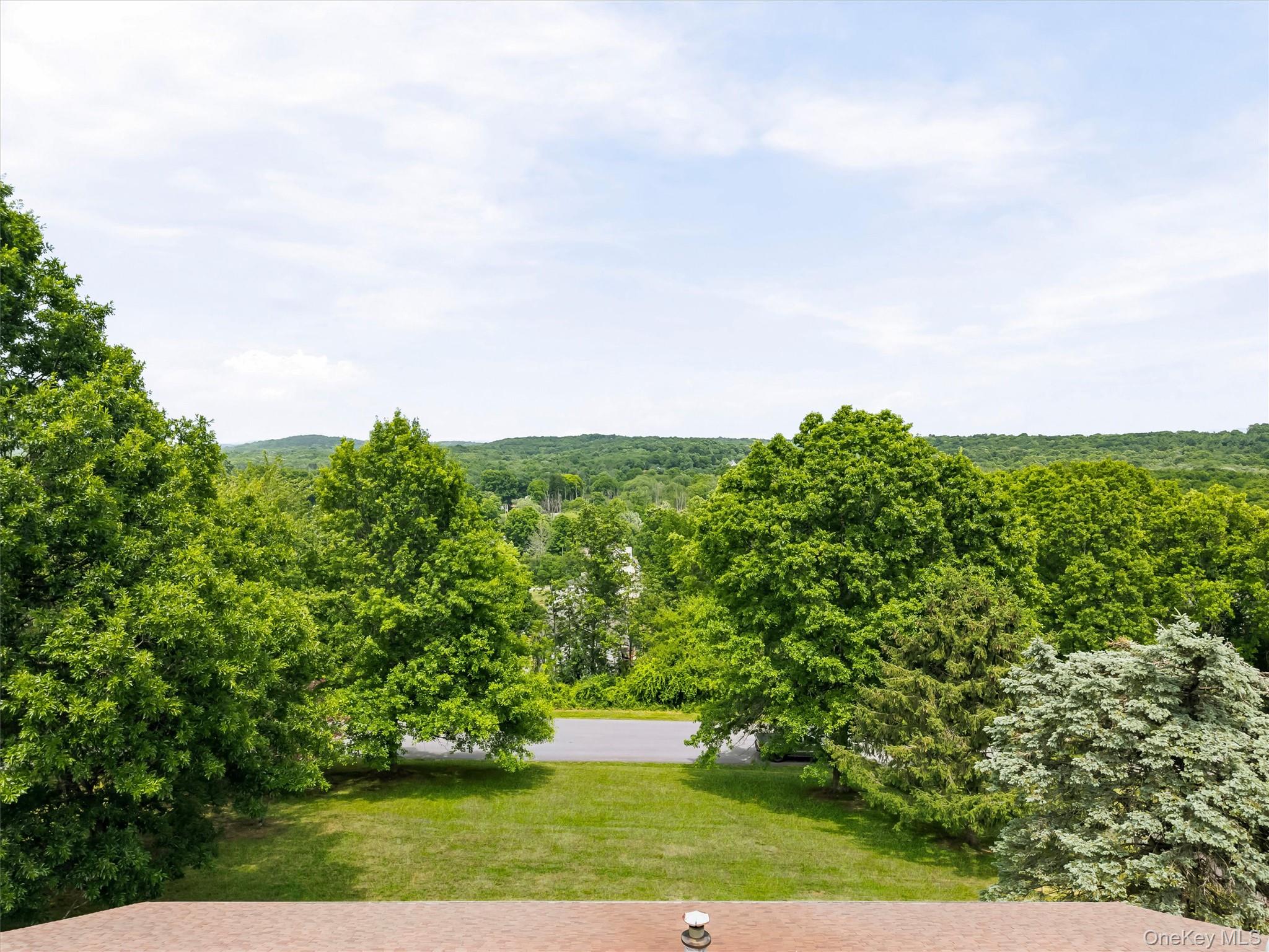 318 Beattie Road Washingtonville, NY 10992 - Photo 37 of 42 a view of a yard