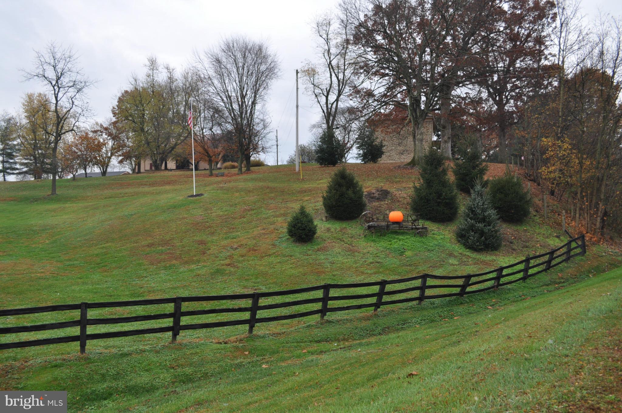 205 Hoff Road Union Bridge, MD 21791 - Photo 28 of 30 a view of a park with large trees