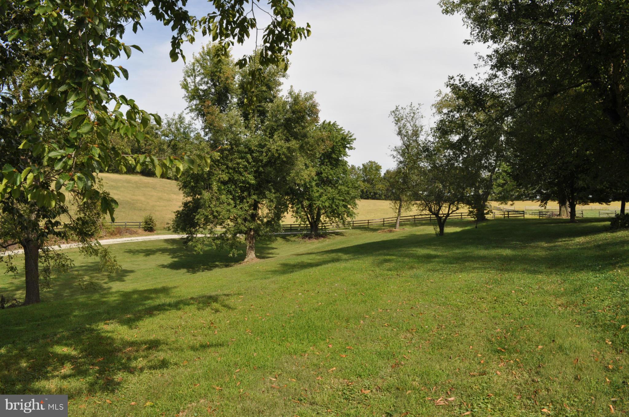 205 Hoff Road Union Bridge, MD 21791 - Photo 30 of 30 a view of yard with trees