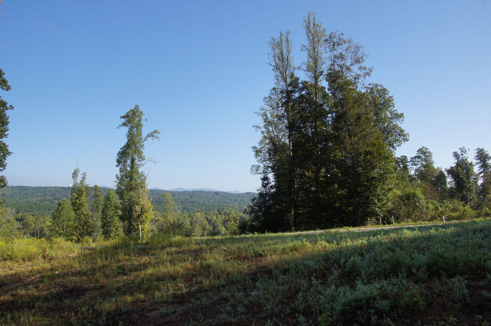 Oak Lane Oak Ridge, TN 37830 - Photo 2 of 9 FC54-DSC01007