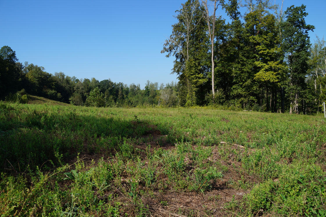 Oak Lane Oak Ridge, TN 37830 - Photo 3 of 9 FC54-DSC03154