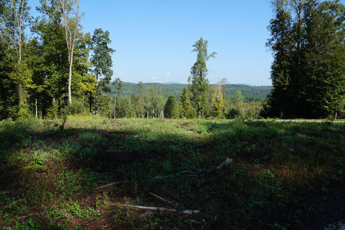 Oak Lane Oak Ridge, TN 37830 - Photo 4 of 9 FC54-DSC03155