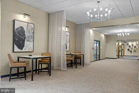 a view of a park with large trees