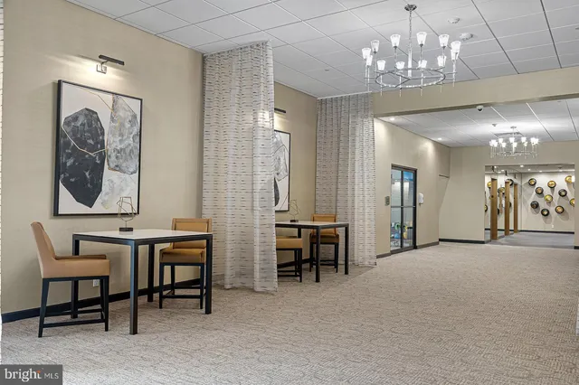 a view of a park with large trees