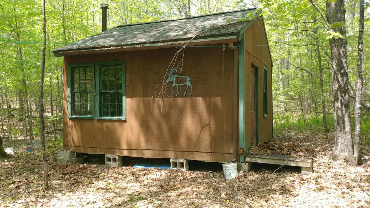 Gallery Image 7