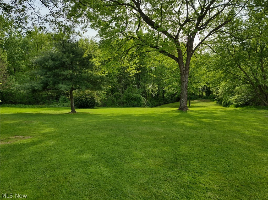 96 Viall Road Youngstown, OH 44515 - Photo 6 of 35 Gallery Image 6