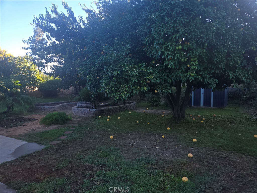 955 Le Conte Drive Riverside, CA 92507 - Photo 14 of 18 Gallery Image 14