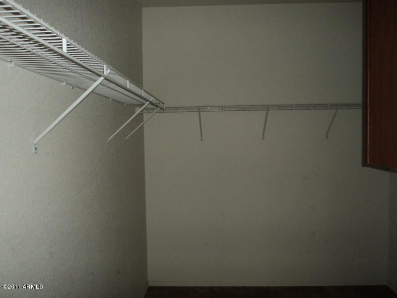 13259 West Boca Raton Road Surprise, AZ 85379 - Photo 17 of 22 MASTER CLOSET