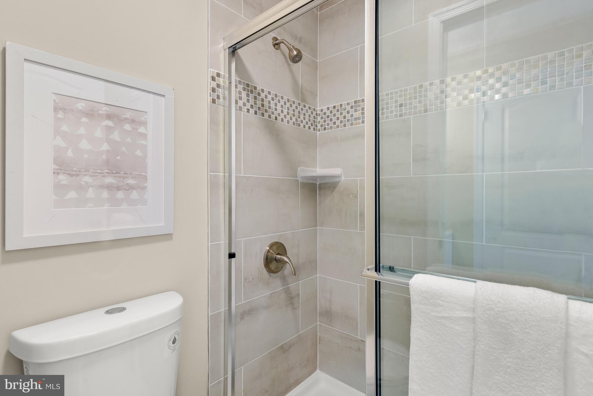 8341 Montgomery Run Road, Unit A Ellicott City, MD 21043 - Photo 20 of 30 Primary Bathroom