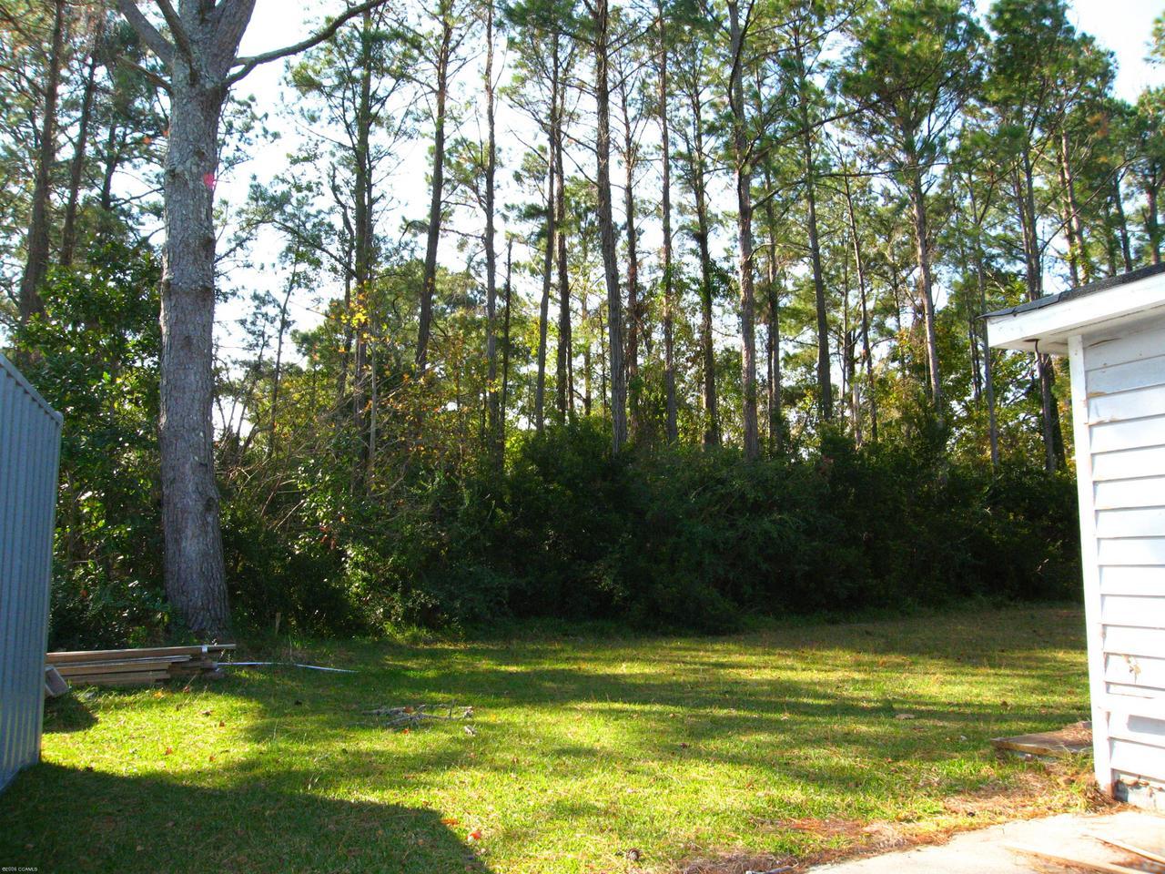 back yard